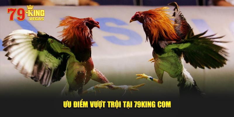 Ưu điểm vượt trội tại 79KING COM Ưu điểm vượt trội tại 79KING COM